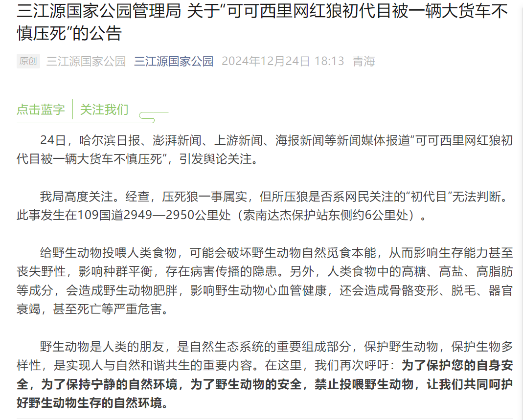 青海牧民在公路上遇野狼拦车 专家：行为反常不排除乞食可能(图4)