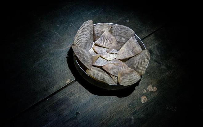 世界穿山甲日你可以为它们点亮未来的光！(图3)