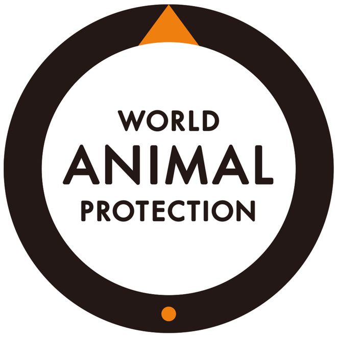 世界穿山甲日你可以为它们点亮未来的光！(图5)