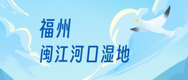 “啾”是可爱！请“飞来”福建看候鸟！(图3)