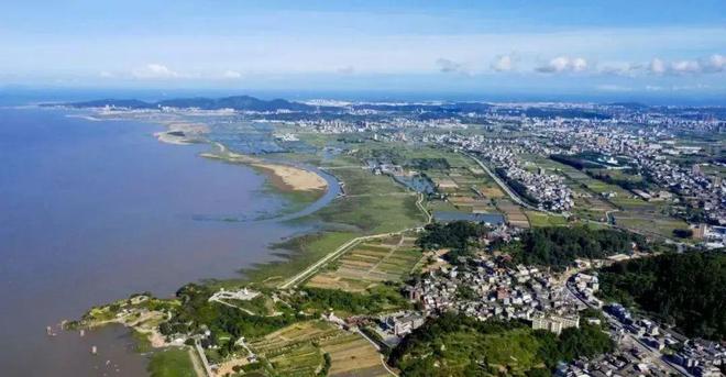 “啾”是可爱！请“飞来”福建看候鸟！(图4)