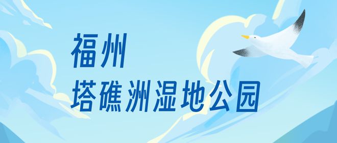 “啾”是可爱！请“飞来”福建看候鸟！(图8)