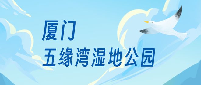 “啾”是可爱！请“飞来”福建看候鸟！(图18)