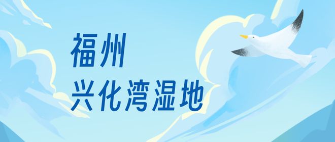 “啾”是可爱！请“飞来”福建看候鸟！(图13)