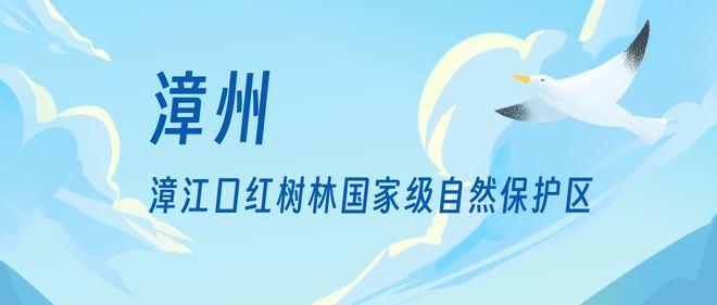 “啾”是可爱！请“飞来”福建看候鸟！(图23)