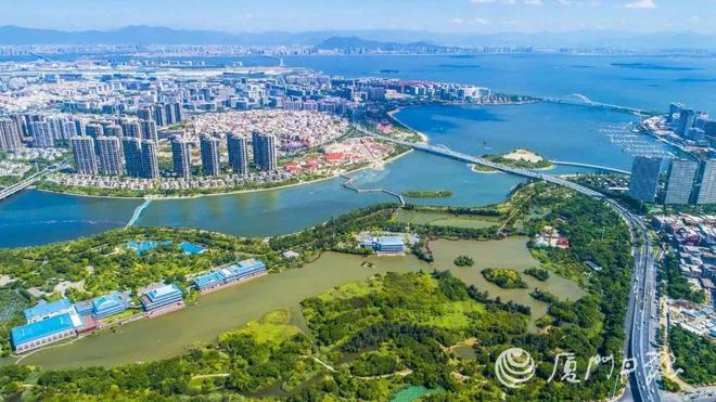 “啾”是可爱！请“飞来”福建看候鸟！(图19)