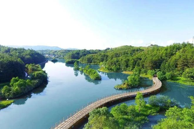 “啾”是可爱！请“飞来”福建看候鸟！(图29)