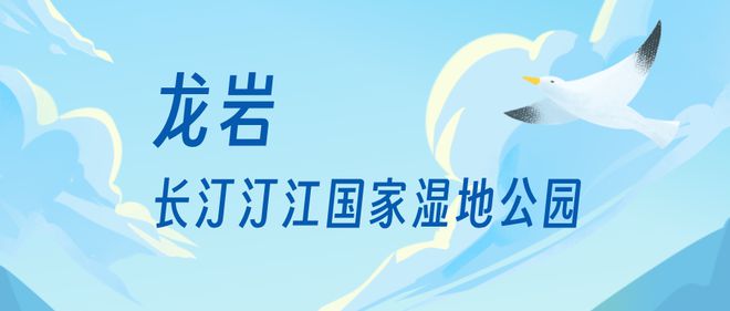 “啾”是可爱！请“飞来”福建看候鸟！(图28)