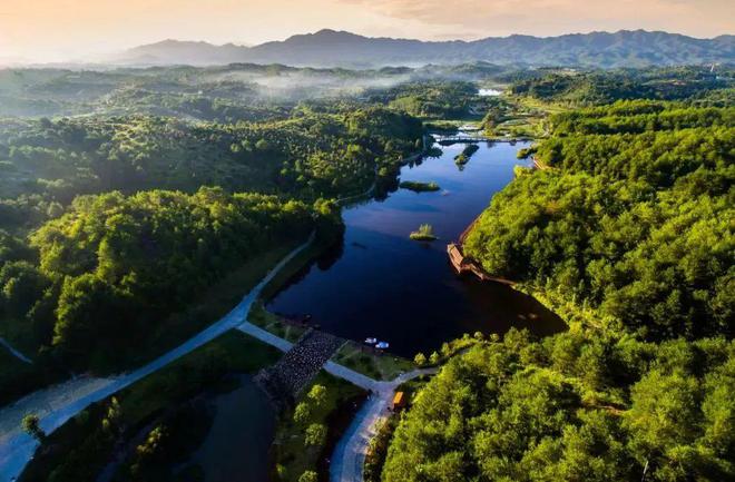 “啾”是可爱！请“飞来”福建看候鸟！(图32)