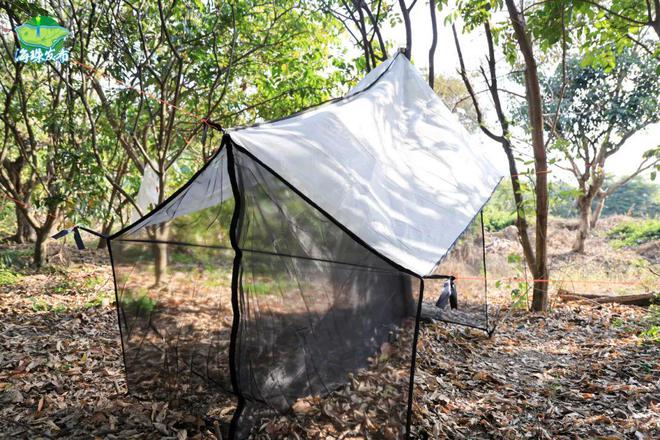 新物种！全球首现！以“海珠”命名！(图5)