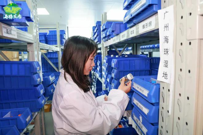 新物种！全球首现！以“海珠”命名！(图6)