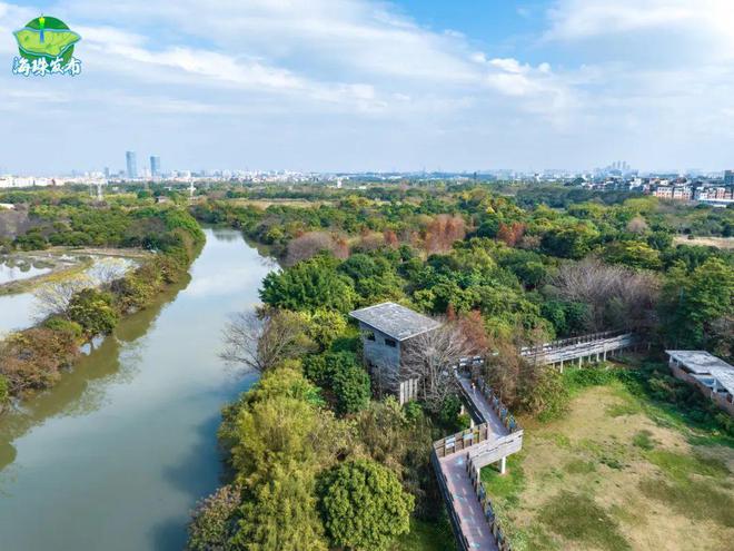 新物种！全球首现！以“海珠”命名！(图4)