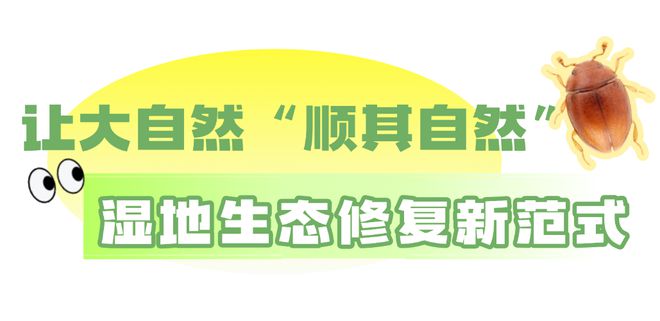 新物种！全球首现！以“海珠”命名！(图12)