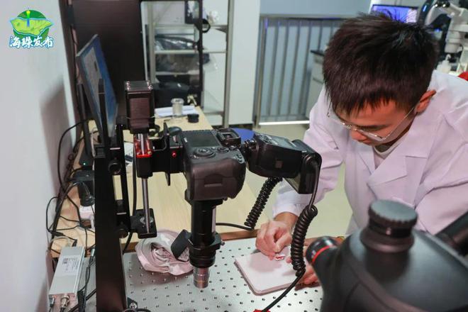 新物种！全球首现！以“海珠”命名！(图9)