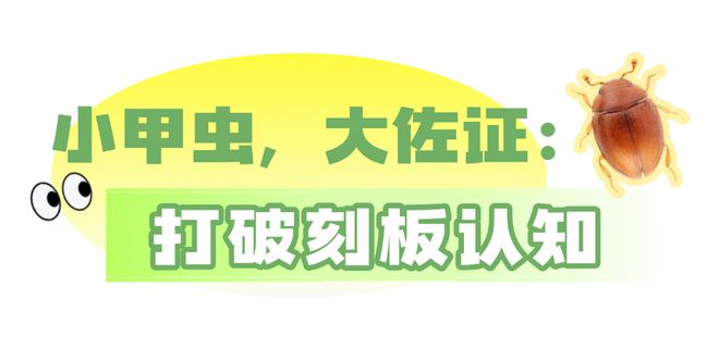 新物种！全球首现！以“海珠”命名！(图10)