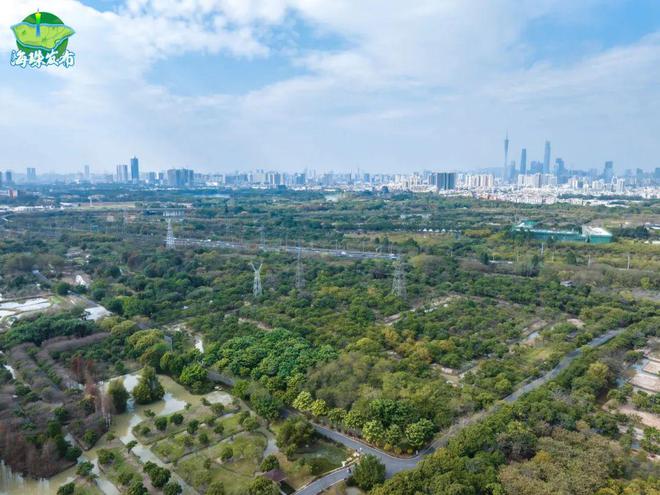 新物种！全球首现！以“海珠”命名！(图11)