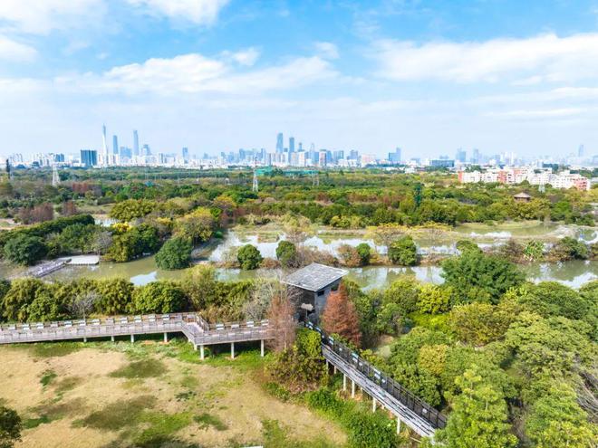 广州又发现全球新物种！(图2)