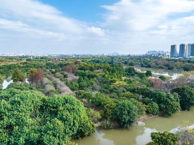 广州又发现全球新物种！(图3)