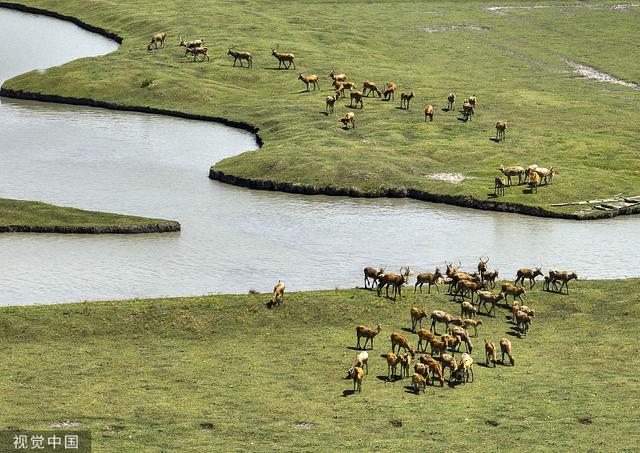 筑牢京津冀生态屏障展现新气象 河北着力构建五大体系(图1)