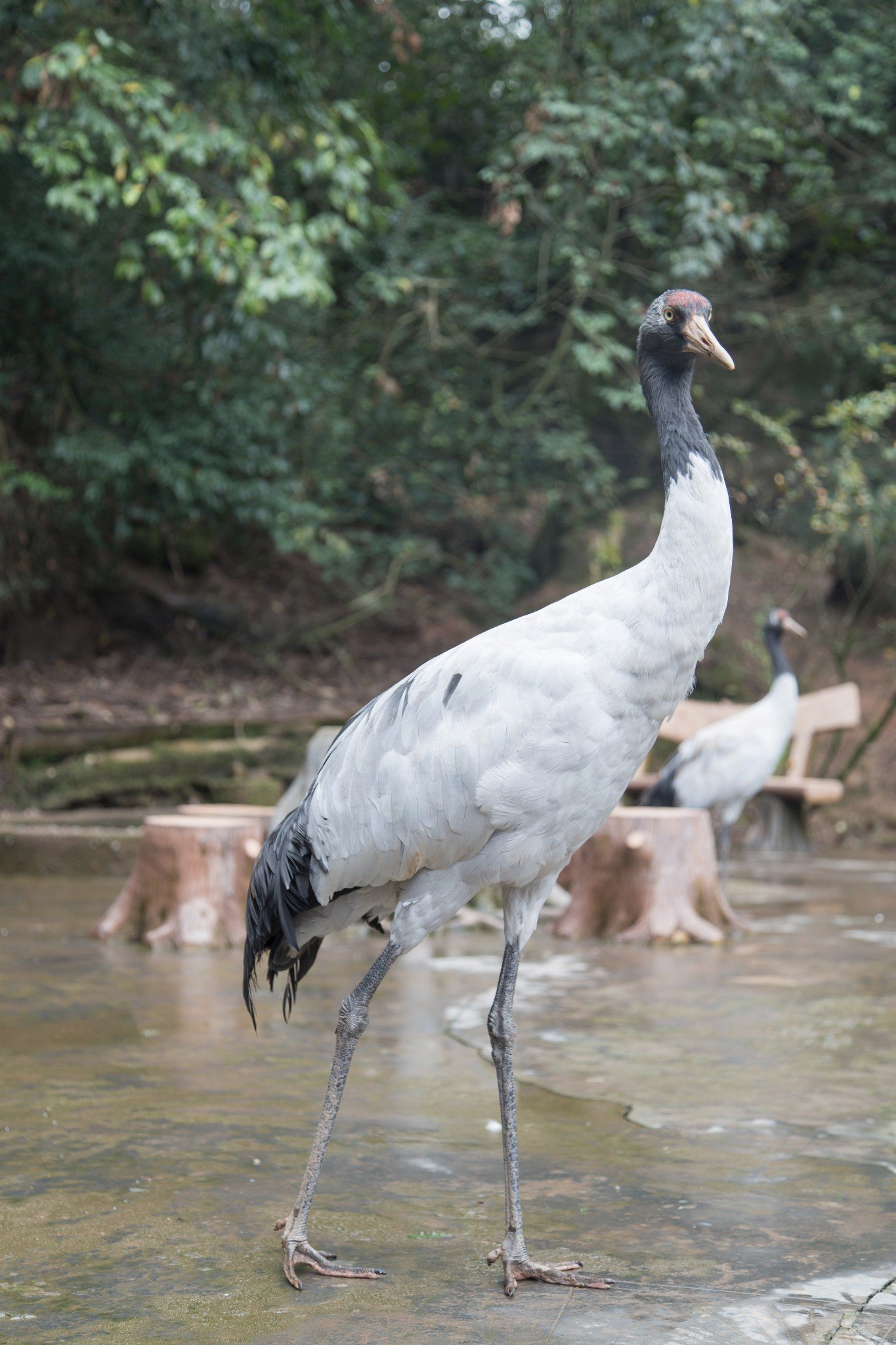 荆州公布3起典型案例(图1)