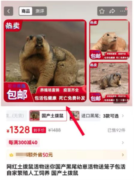 土拨鼠也销售火爆？这些风险不能不防(图5)