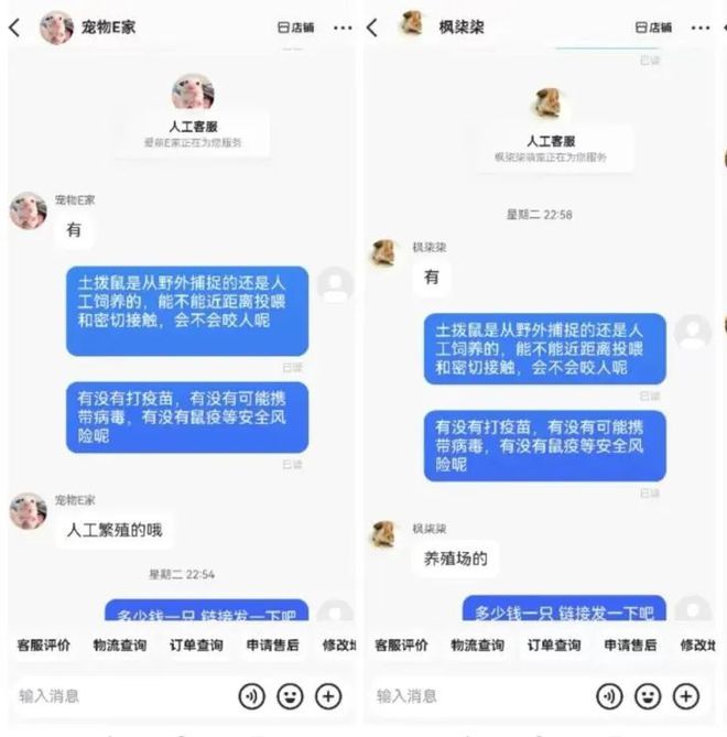 土拨鼠也销售火爆？这些风险不能不防(图3)