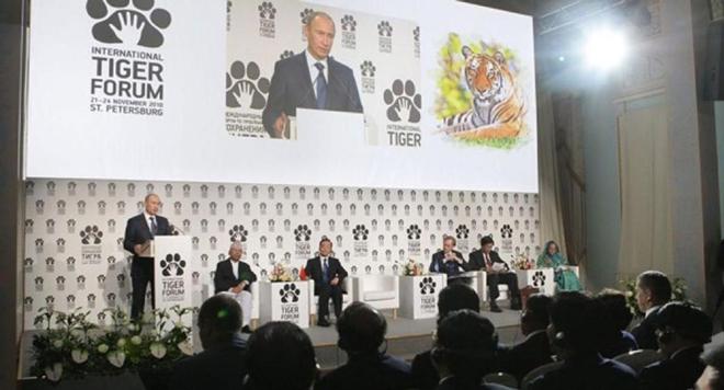 超额完成“老虎数量翻倍”目标尼泊尔烦恼：要不送给其他国家？(图4)