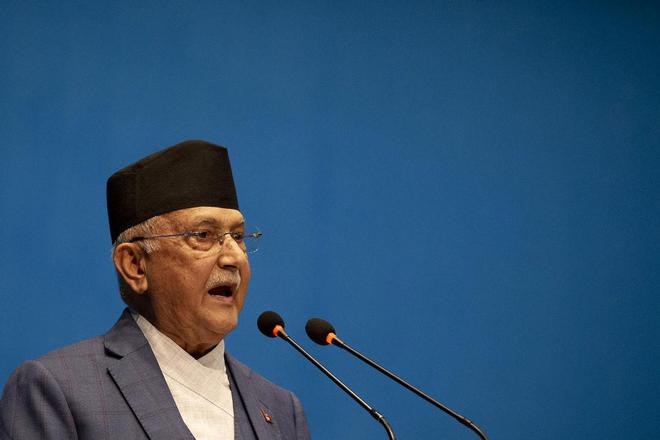 超额完成“老虎数量翻倍”目标尼泊尔烦恼：要不送给其他国家？(图8)