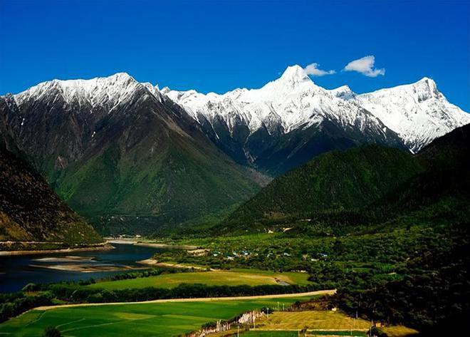 超额完成“老虎数量翻倍”目标尼泊尔烦恼：要不送给其他国家？(图19)