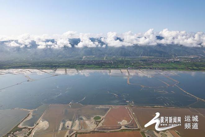 运城盐湖：火烈鸟的“生态家园”(图3)