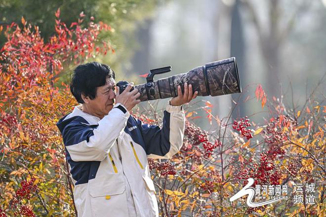 运城盐湖：火烈鸟的“生态家园”(图5)