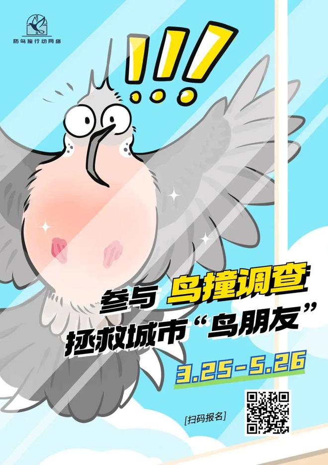 一篇彻底了解：原来你是这样的自然之友野鸟会！(图11)