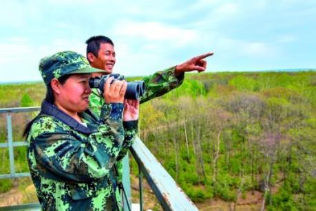 停伐十年 林区端起生态“饭碗”(图2)