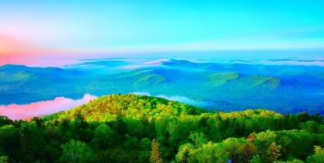 停伐十年 林区端起生态“饭碗”(图4)