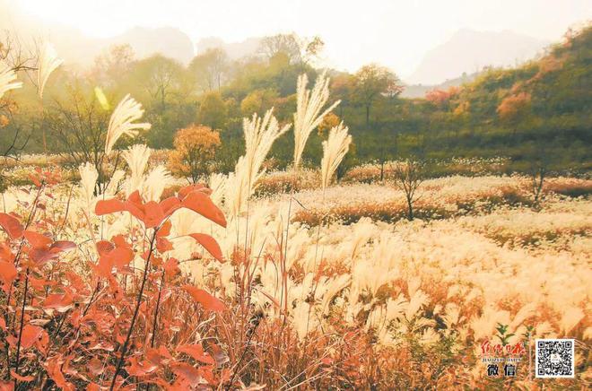 龙佰集团：创领“钛”美生活 做受尊敬企业(图13)