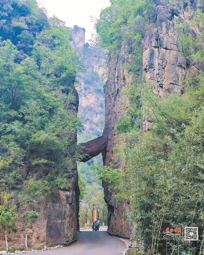 龙佰集团：创领“钛”美生活 做受尊敬企业(图11)