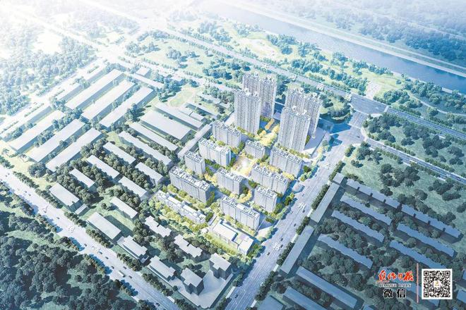 龙佰集团：创领“钛”美生活 做受尊敬企业(图15)