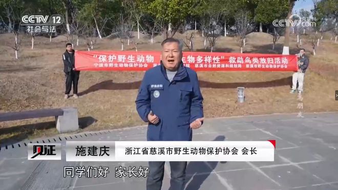 慈溪“鸟叔”登上央视：从偶遇到一生守护(图1)