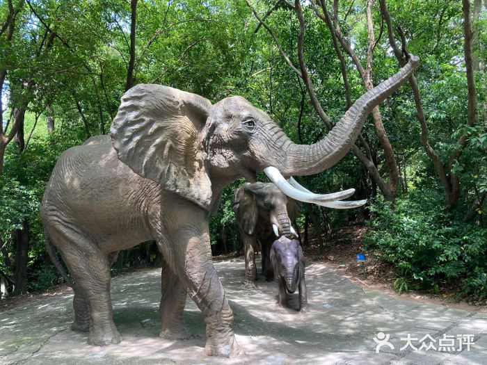 《中国自然资源报》：山东济宁兖州区深化野生动植物管护(图1)