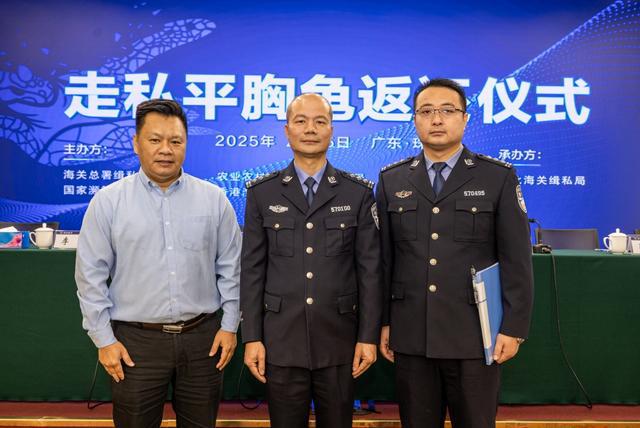 内地首次向香港返还濒危野生动物 58只平胸龟踏上回港之旅(图2)