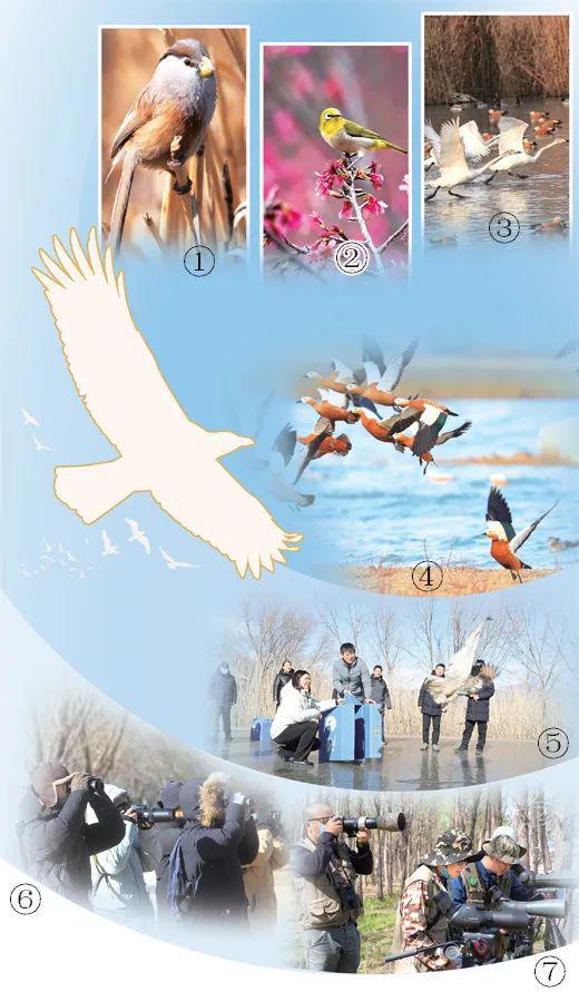 《人民日报海外版》点赞昭通(图1)