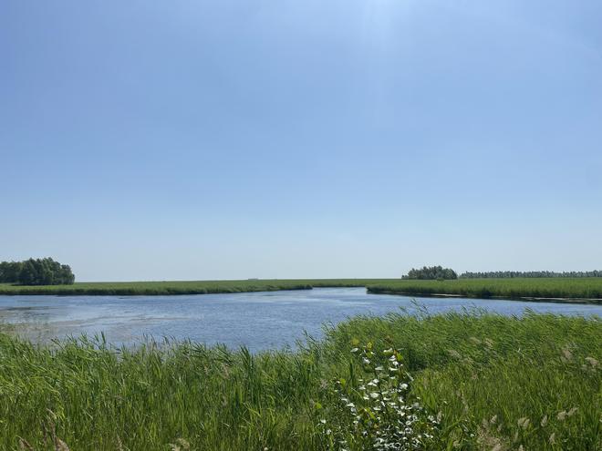 联动｜归途——丹顶鹤的家(图2)