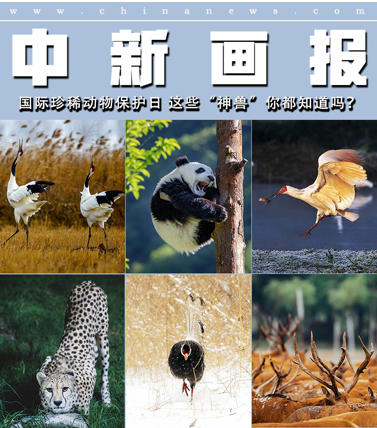判了！福建一老板获刑2年！(图1)