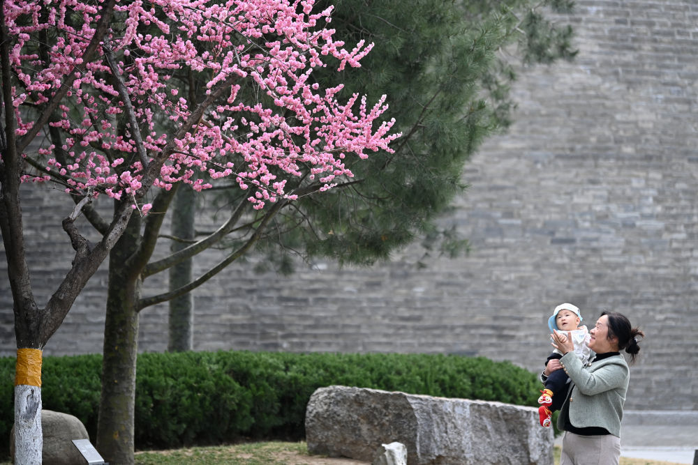 千年古都的“绿野仙踪”——西安建设公园城市见闻(图1)
