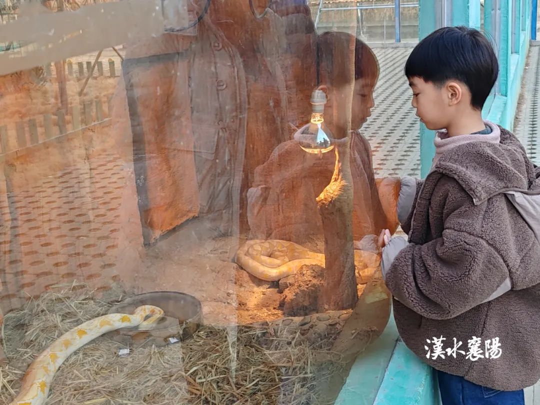 “村”游记 不用去长隆！襄阳这个村也有野生动物世界(图3)