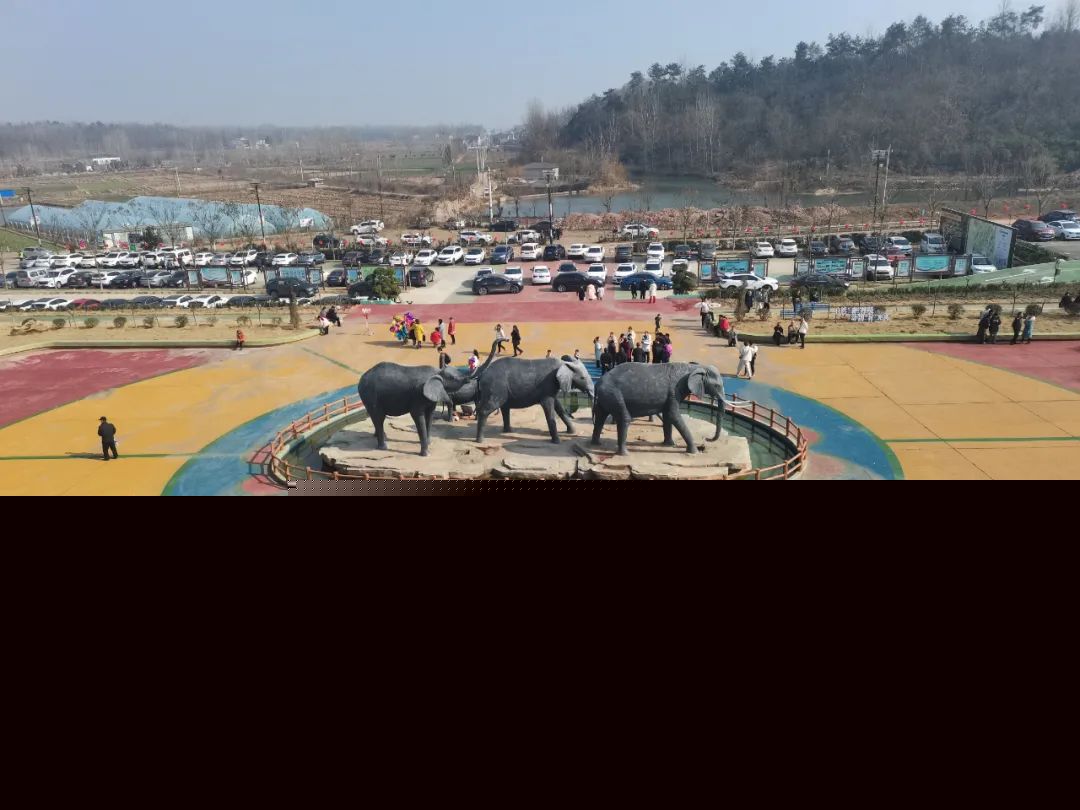 “村”游记 不用去长隆！襄阳这个村也有野生动物世界(图5)