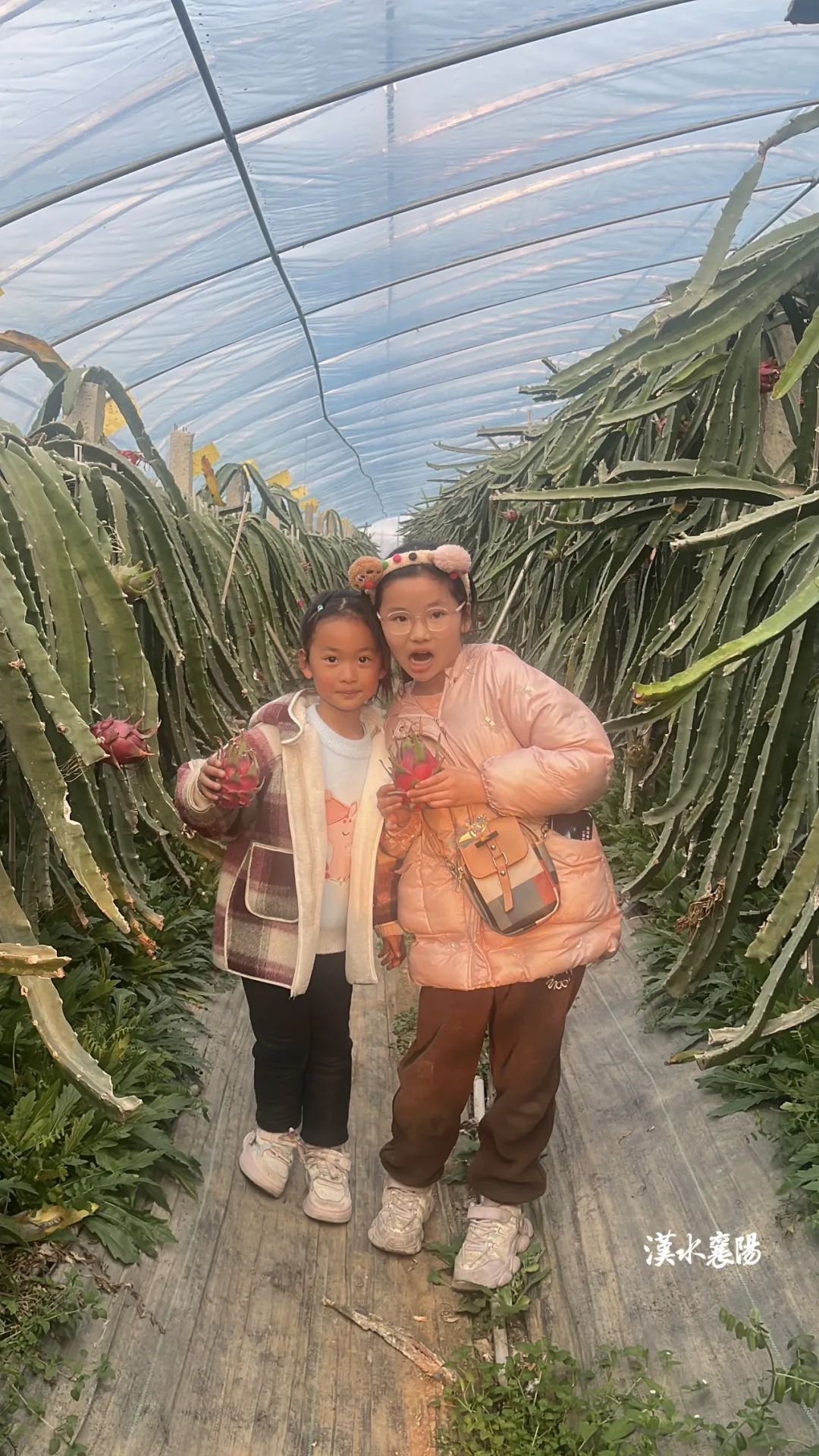 “村”游记 不用去长隆！襄阳这个村也有野生动物世界(图8)