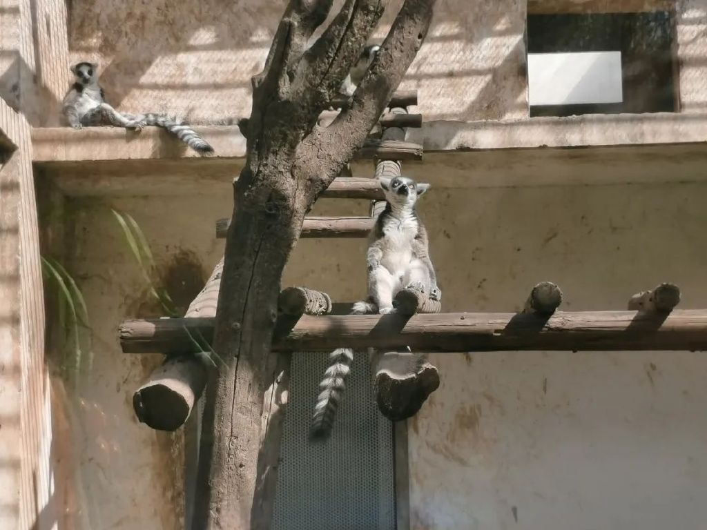 “中华水塔”生机盎然 三江清水滋润华夏(图1)
