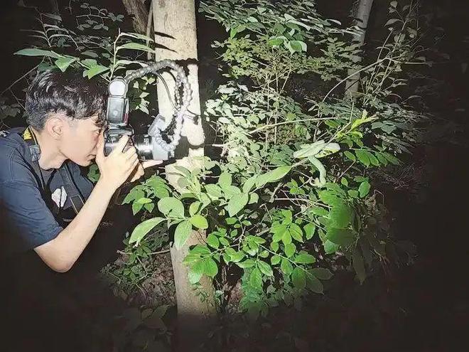 一新物种以安徽农业大学学生名字命名(图2)