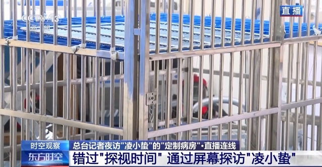 “命悬一线”的小雪豹“凌小蛰”做CT了 最新救治情况(图12)